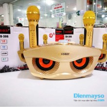 Loa kéo karaoke SD 306