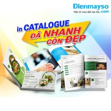 In Catalogue Giá Rẻ Tại TP HCM Lấy Ngay Trong Ngày