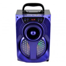 Loa Karaoke KTS 979