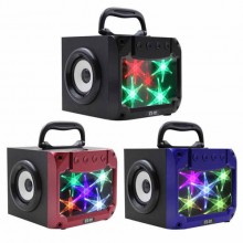 Loa Di động Karaoke KTS 994