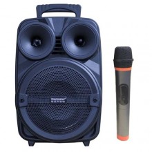 Loa kéo di động karaoke Temeisheng A8-10