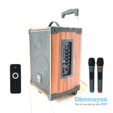 Loa kéo di động Temeisheng A8 42