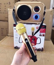 Loa di động Karaoke SD-501 - 502