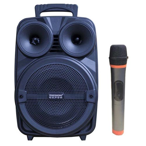 Loa kéo di động karaoke Temeisheng A8-10