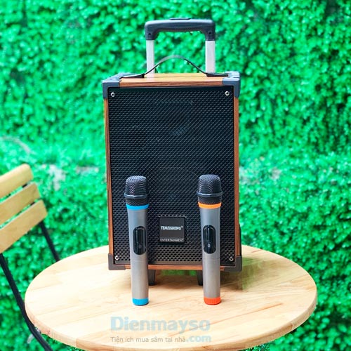 Loa kéo di động Karaoke Temeisheng A8-42